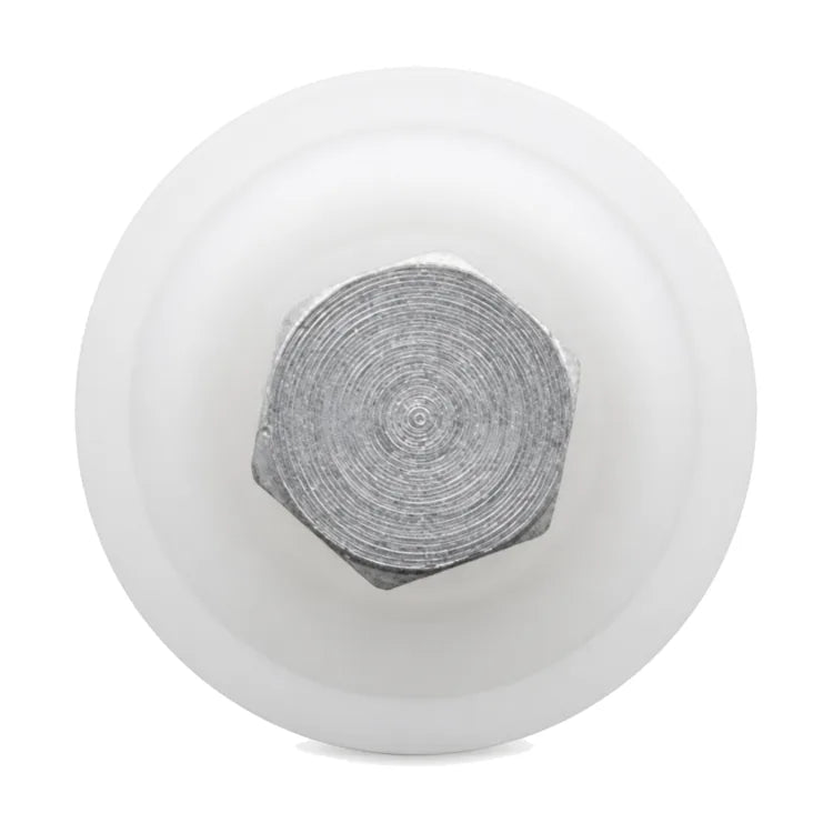 Schindler-compatible 547572 guide roller for 3300, V30 and QKS9 systems, 31 × 15 mm with M10 hardware, shown face-on.