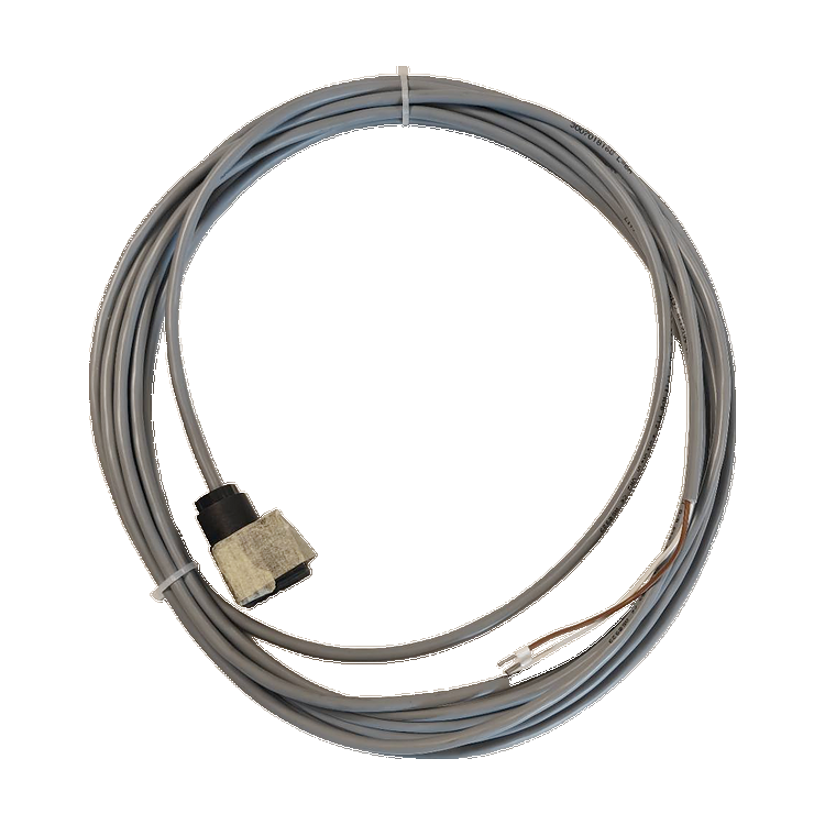 Beringer/Bucher emergency lowering cable VF-LRV EN, 6 m, CSA – full cable and connectors