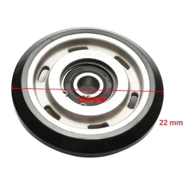 Thyssen RG3S-D125 Styrsko Rulle för 16 mm Gejd